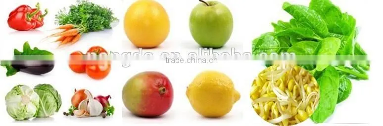 vegetable washing processing machine