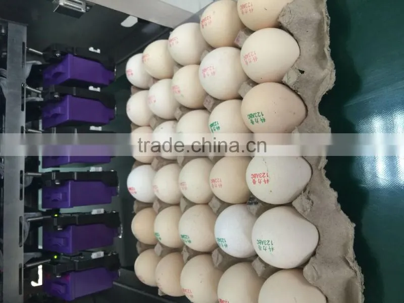 Hot Stamping Date Coding Machine/Egg Code Printing Machine/Bottle Date Code