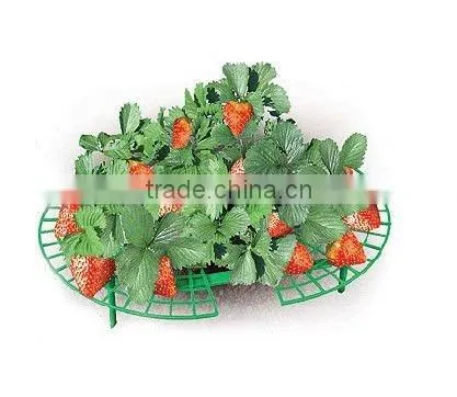 strawberry support ,plant support