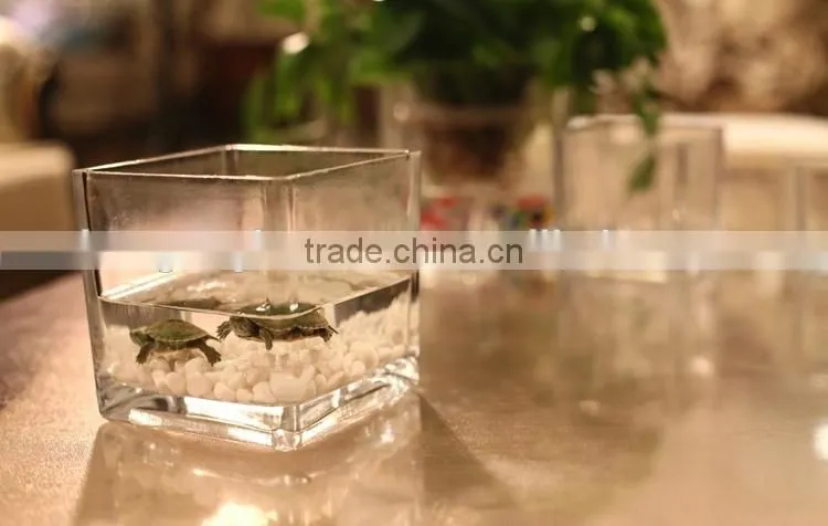 hot sale hand blown square glass vase