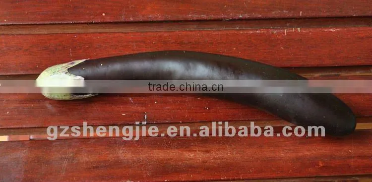 2012 new design Artificial beautiful Eggplant Vegetable