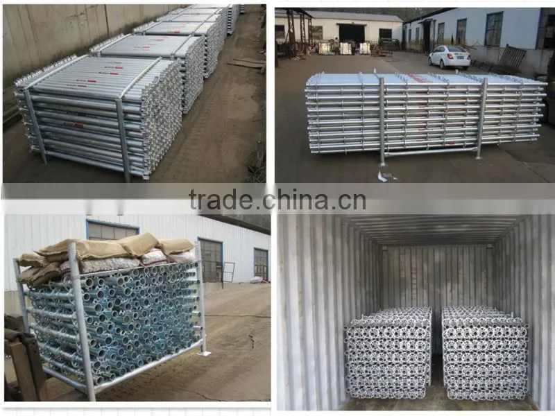 Construction Light Weight Scaffolding Ringlock Vertical