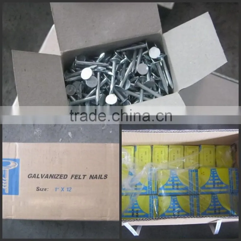 galvanized clout nails with flat head/ clout nail roofing nails