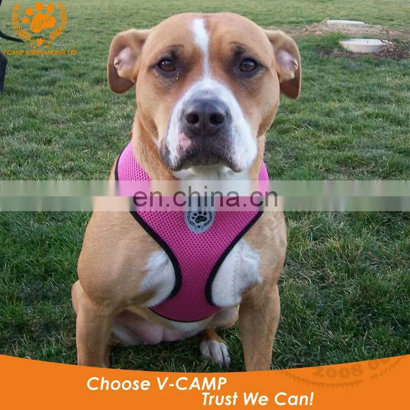 My pet air mesh harness for your little puppy