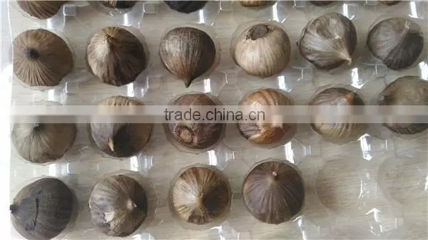 natural black garlic
