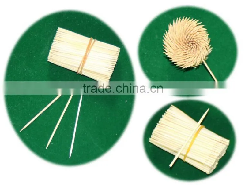 reusable toothpick bamboo toothpick