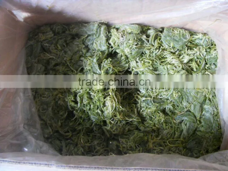 No Seasoning Frozen Wakame Stem Seaweed Raw Material