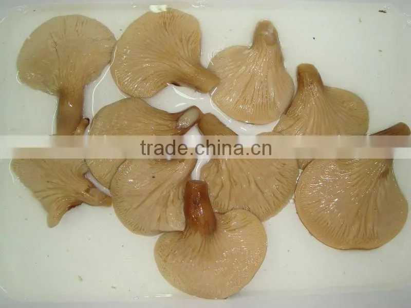 champignon PNS