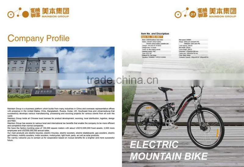 electric bicycle, mountain bicycle, electric power cycles
