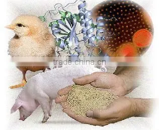 Special beneficial Bacteria for Fermentation Bed