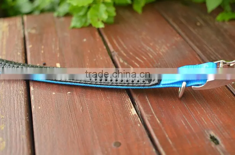 luminous dog collars, 5050 LED Strip LED Collars, 2.5cm width,locking dog collar