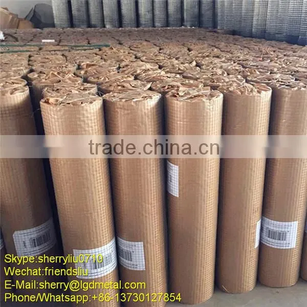 Low Carbon steel Hot Dipped Galvanized Welded Wire Mesh of high quality---WMSL008