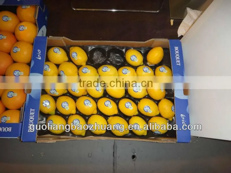fruit packing tray