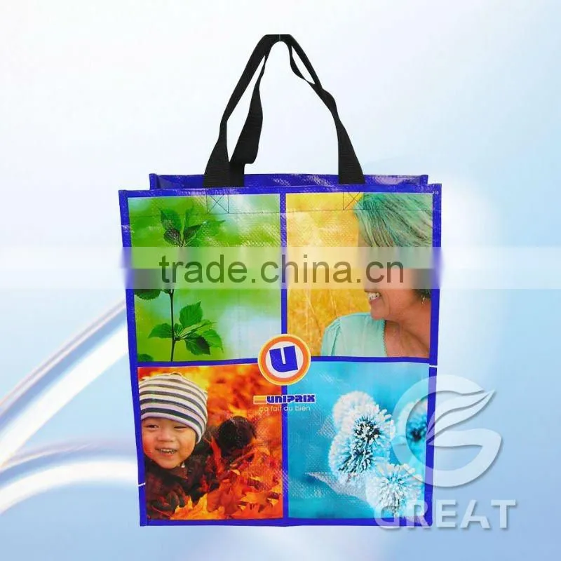 Customized Colorfull Printing PP Woven Bag For Shopping (glt-w0087)