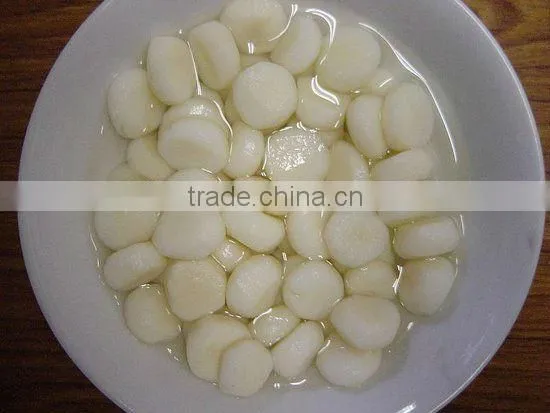 Canned Vegetable Canned Water Chestnut 567g