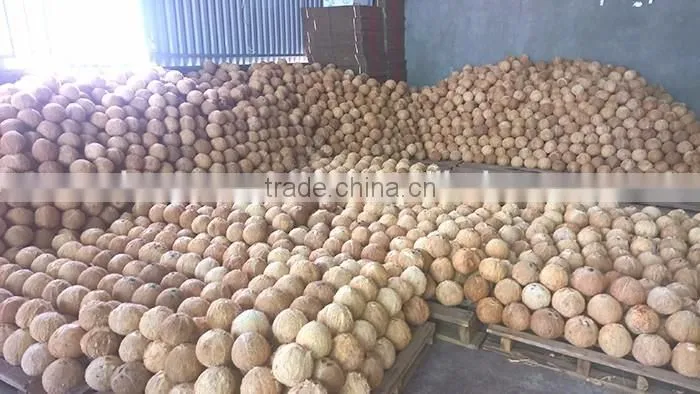 old coconut