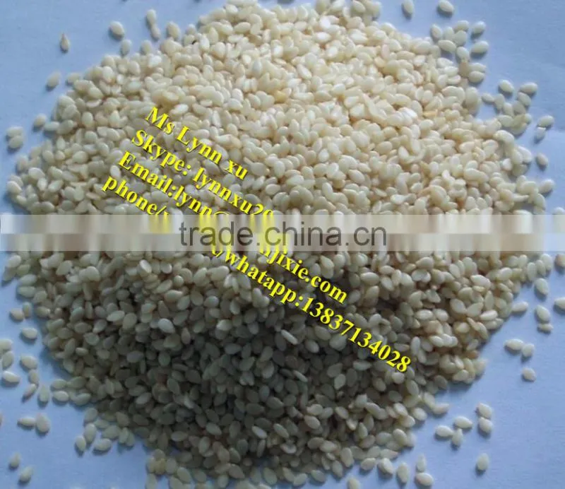 industrial gingili cleaning machine/seasame washing machine