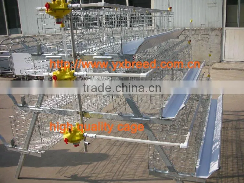 battery cage