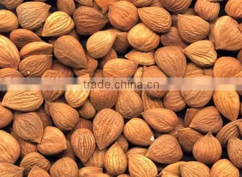 Mulitfunction Almond Cracking Machine/Almond Shell Breaker For Pistachio,Hazelnut