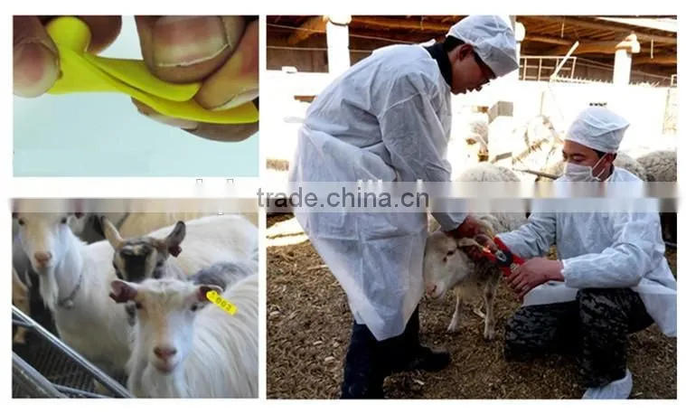 Hot sale animal identification mark livestock ear tag for sheep