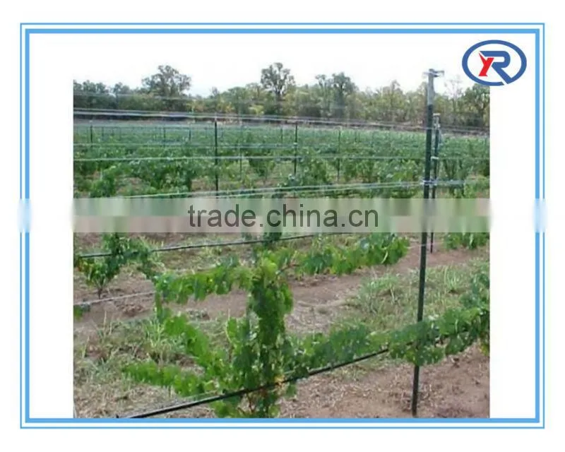 Black bituminous painted Y fence post punched with teeth made in china