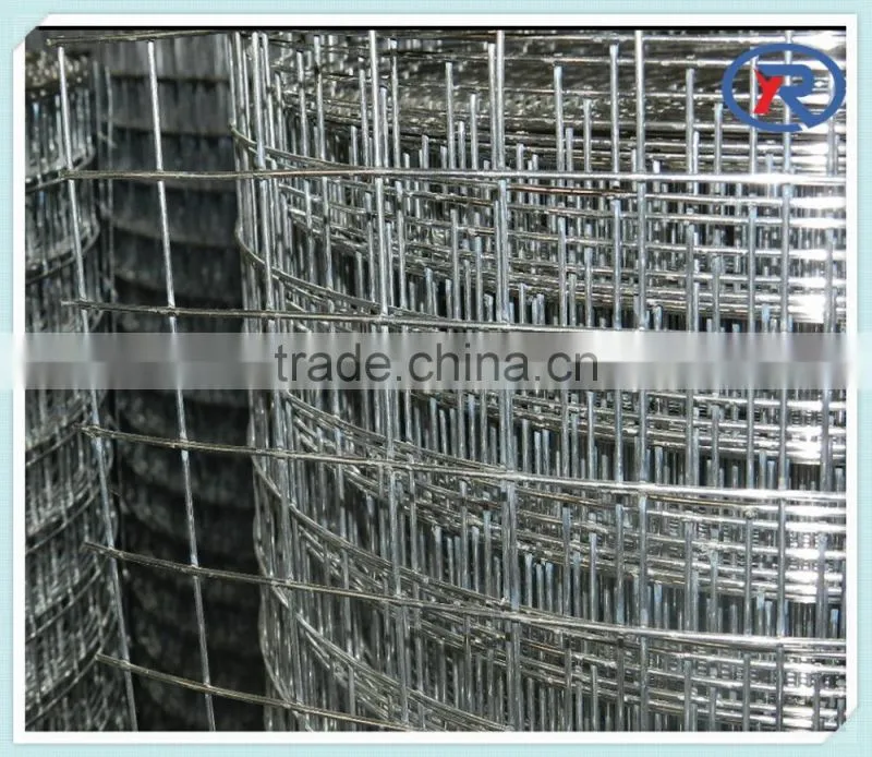 Metal panel galvanized welded wire mesh rolls from china