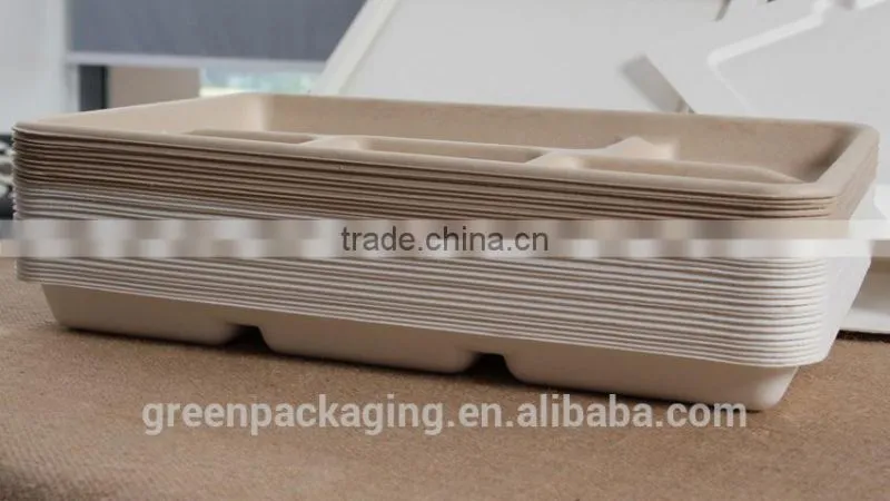 5 compartment shallow tray from sugarcane
