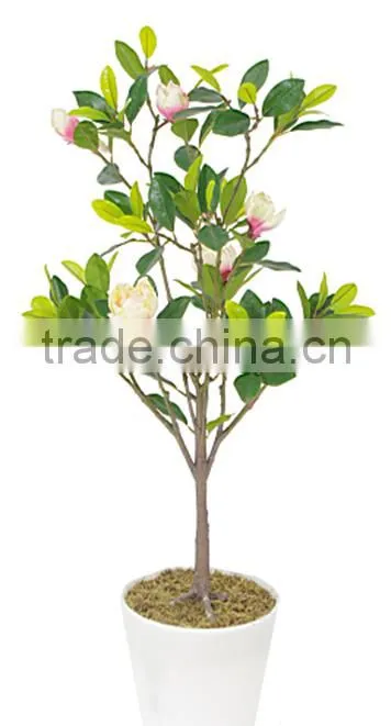 indoor Home garden decorative 250cm Height make artificial green live magnolia bonsai tree EXLYPZ06 0510