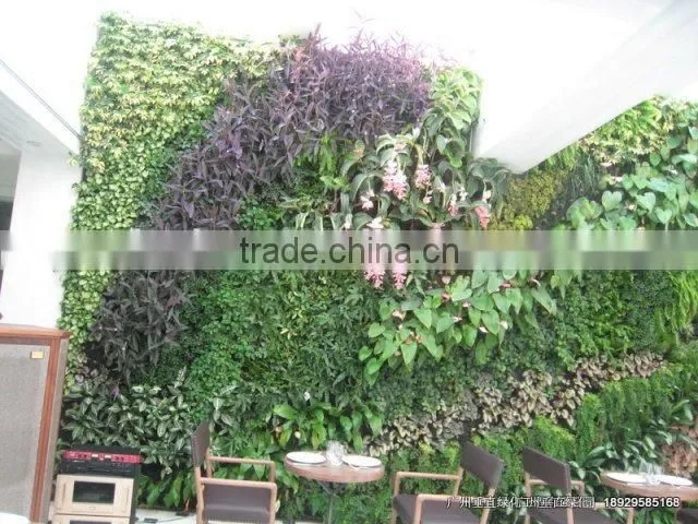 2015newest fatory price artificial grass wall,indoor or outdoor,vertical green wall