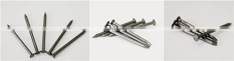 Iron Nail/ Common Wire Nail/Common Iron Nails