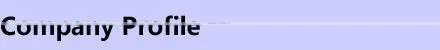 Stylish 42 Inch digital display mobile advertising companies totem player