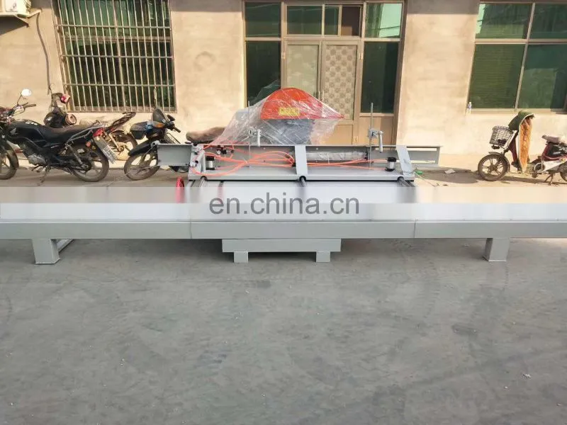 Mona sliding table saw with scoring blade|sliding table saw