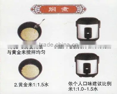 Chinese synthetic rice