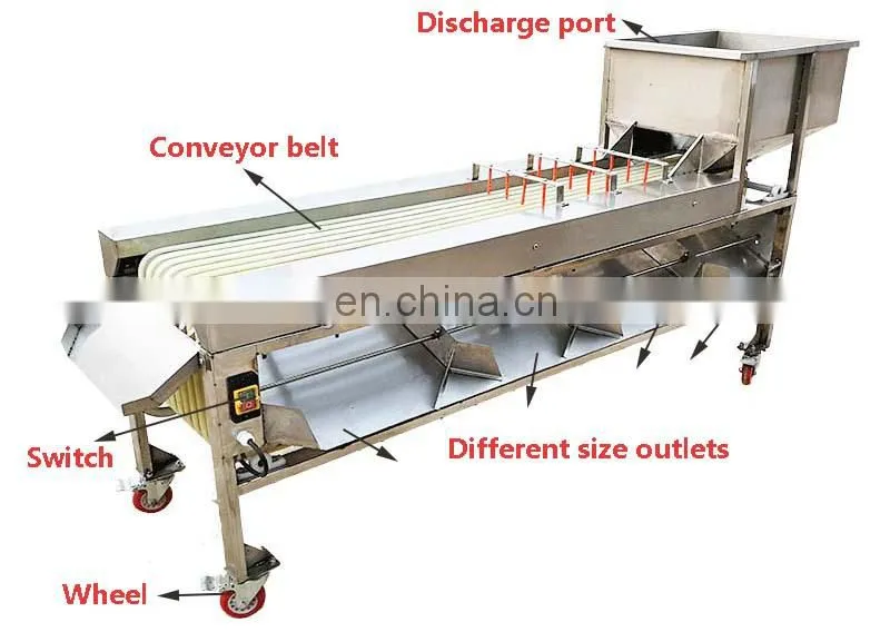 Apple Grading Machine/Potato Sorting Machine/Apple Sorting Machine.