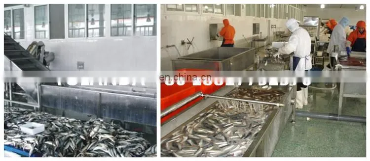 fully complete canned catfish production line