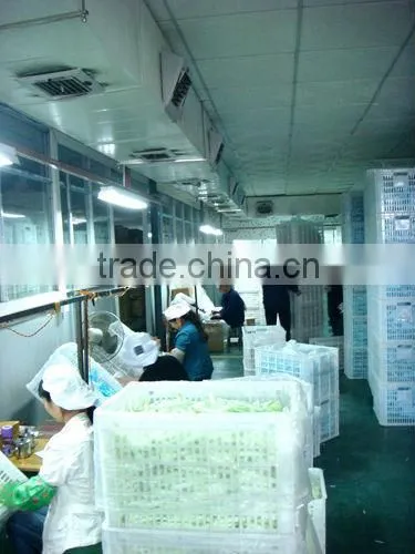Small Plastic Tube for Cream packing, 5ml-20ml Cosmetic Tubes