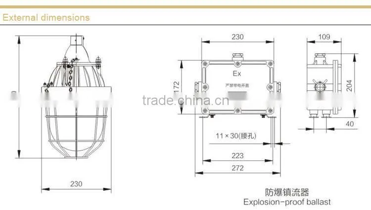 BAD51-250 Flameproof Explosion proof Light