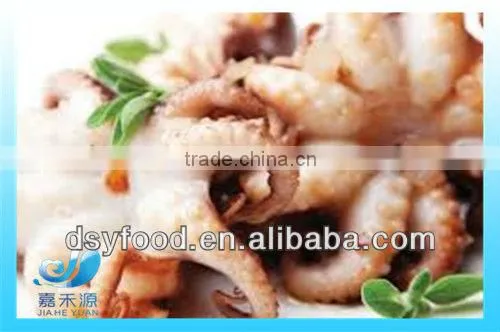 nice-looking frozen octopus