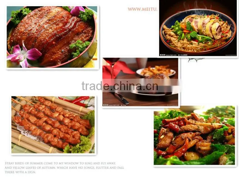 meat salting machine,