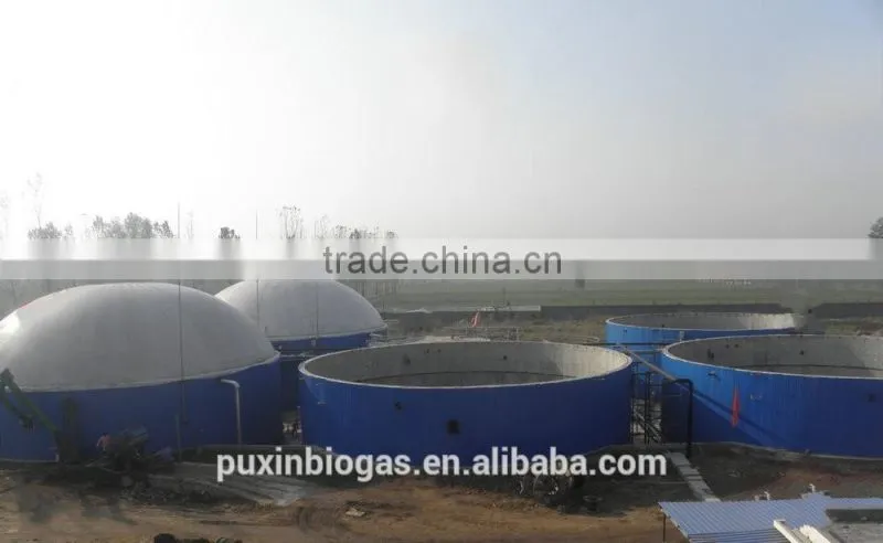 PUXIN recycle small sewage treatment plant machine for Slaughter house waste