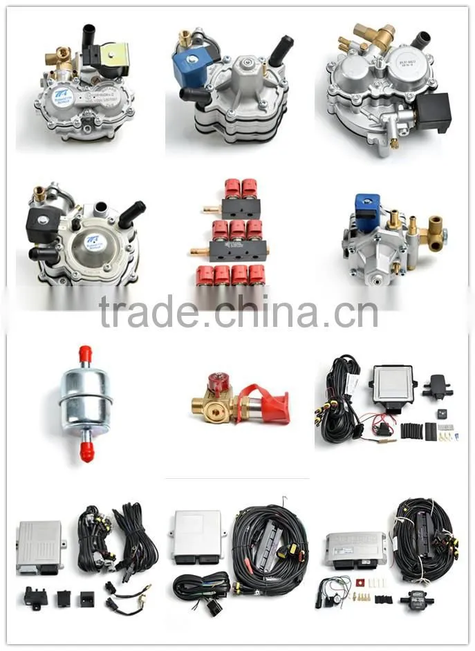 CNG/LPG 6cil emulator for EFI system