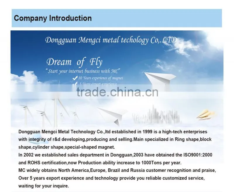neodym magnet neodymium cylinder epoxy diametrally magnetized