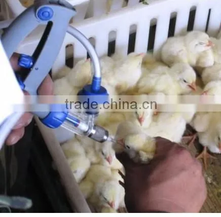 Stainless steel continuous injector for chicken farm