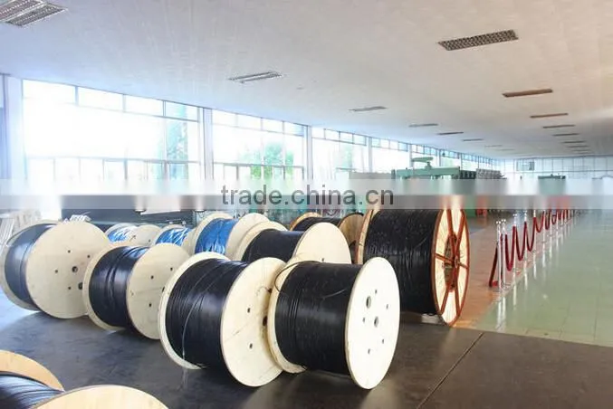 optic fiber cable-GYXTS(outdoor central tube steel wires armored optic cable