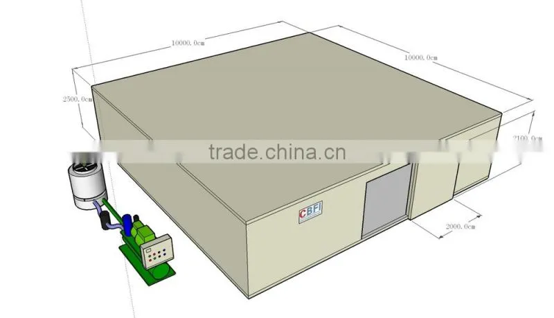Blast Freezer for Quick frozen fish and chicken