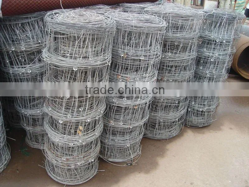 cattle fence