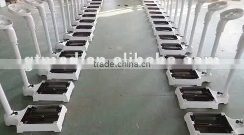 8024 China High Quality health scale
