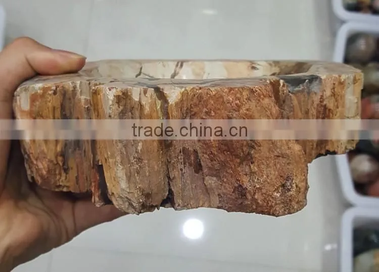 Petrified Wood Stone Fossil Ashtray