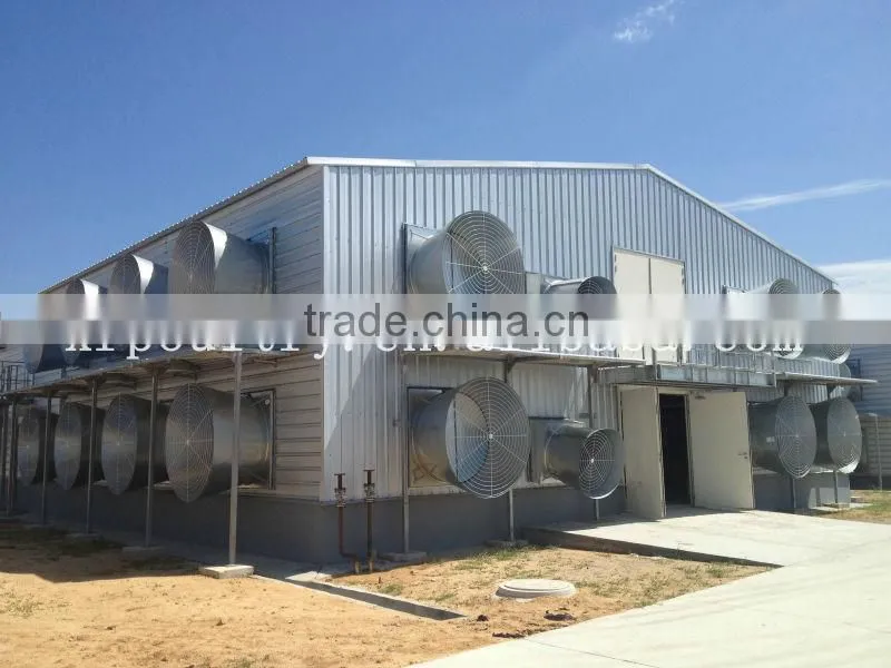 Turnkey project professional automatic poultry chicken farm house