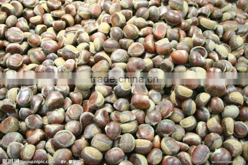 2015 new crop Chinese fresh chestnut for hot sale